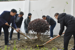 植树添新绿，莫负好春光 ——学校领导带领教职工开展植树活动